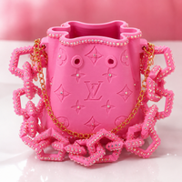 R&B Babe Luxury Purse Organizer