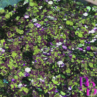 Purple Lime  Chunky Mix Glitter